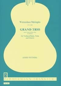 Grand Trio op. 15
